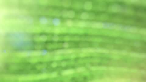 Alicia online show from October 2025 09:35:02 PM