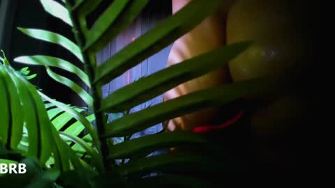 Alicia Lici  online show from January 2025 10:48:01 AM