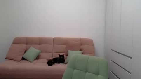 alicianoveli online show from February 2025 11:43:01 AM