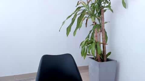 Alice online show from October 2025 03:18:02 PM