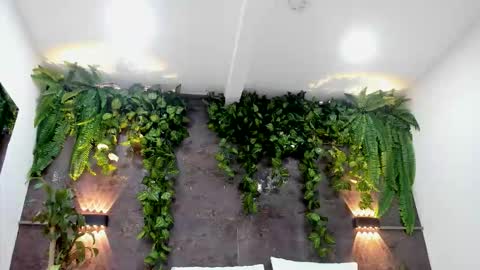 Alice online show from February 2026 06:17:01 PM