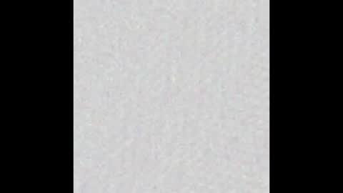 Alisse online show from January 2026 11:59:01 AM