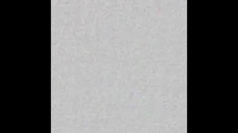 Alisse online show from February 2026 12:13:02 PM