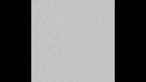 Alisse online show from February 2026 12:04:01 PM