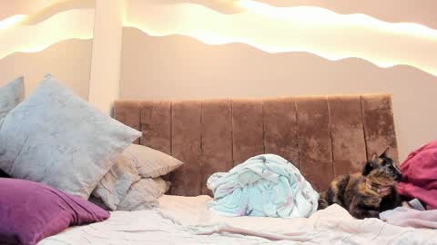 Snapshot of alisson_am chatting on April 2026 01:41:01 PM Alisson online show from April 2026 01:41:01 PM