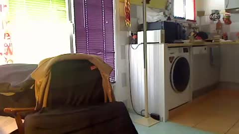 Sandwich online show from January 2026 01:04:01 PM