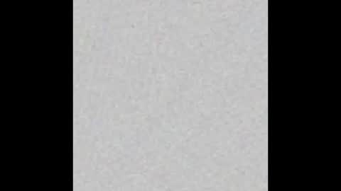 Ali online show from February 2026 11:22:02 AM