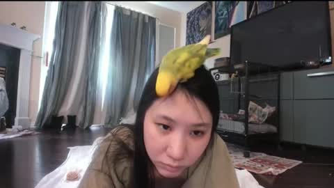 Alize Zaide online show from February 2026 08:34:01 PM