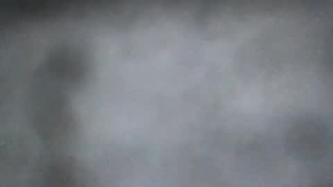 all_most_sane online show from August 2026 03:25:01 PM