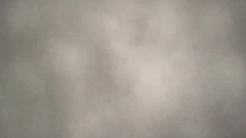 all_most_sane online show from August 2026 07:49:01 PM
