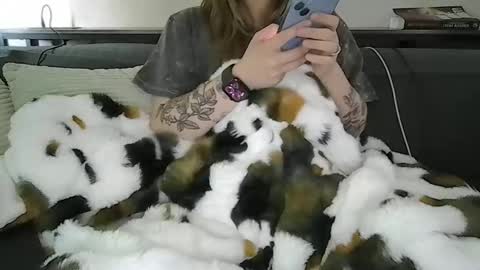 alliebearx online show from April 2026 05:40:01 PM