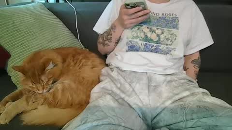alliebearx online show from June 2026 10:15:01 PM