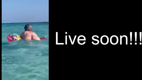 Snapshot of alliesynns chatting on October 2025 04:24:01 AM Allie online show from October 2025 04:24:01 AM