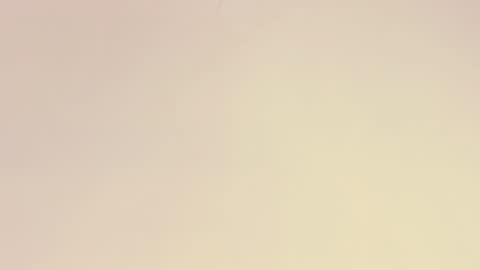    online show from December 2025 10:53:01 AM