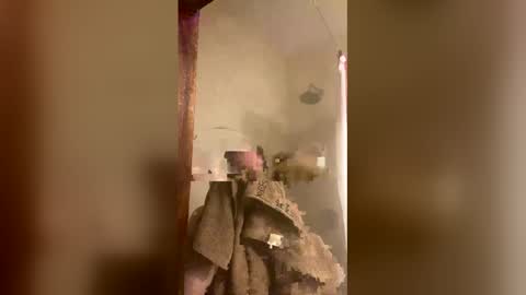 Snapshot of allisonlove2 chatting on April 2026 11:32:02 PM allisonlove2 online show from April 2026 11:32:02 PM