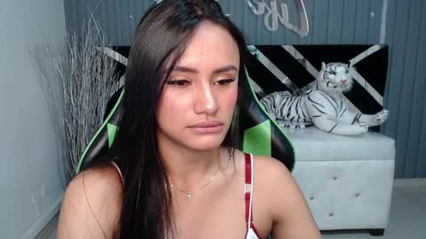 Snapshot of allisson_a chatting on December 2024 03:47:02 AM Allisson online show from December 2024 03:47:02 AM