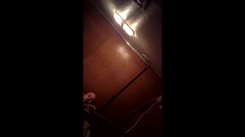 allister666pitfiend online show from February 2026 09:05:01 AM