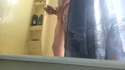 Snapshot of allwolf0323 chatting on September 2025 04:45:02 PM allwolf0323 online show from September 2025 04:45:02 PM