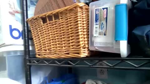 allyanalangel online show from January 2026 06:33:01 PM