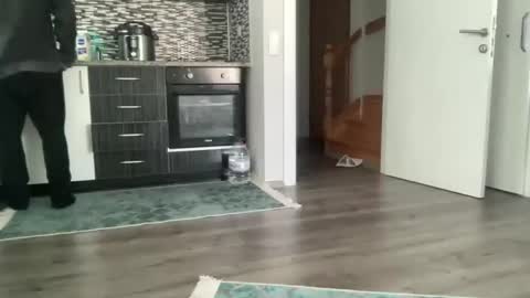 Snapshot of alphandre chatting on January 2025 06:27:02 AM AlphAndre online show from January 2025 06:27:02 AM