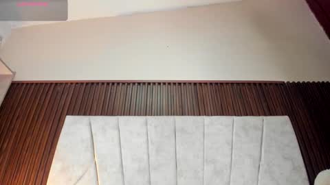 Snapshot of amara_brunet chatting on March 2026 12:33:01 PM amara_brunet online show from March 2026 12:33:01 PM