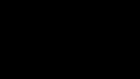 Amarantha online show from January 2025 01:09:02 PM