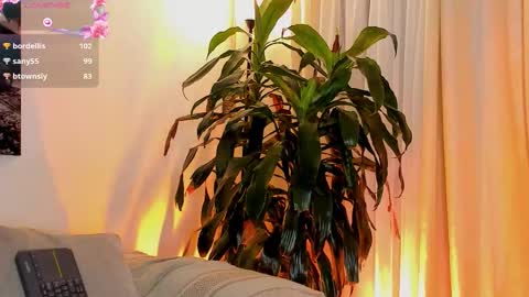 Amatista online show from November 2025 11:07:02 PM