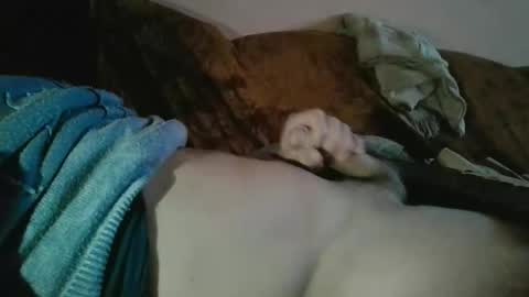 amazingcuteboy845 online show from October 2025 09:15:01 PM