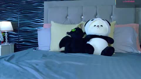 amber_bull online show from November 2025 01:46:02 PM