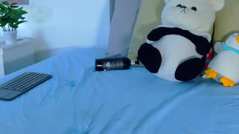 amber_bull online show from April 2026 02:10:02 PM