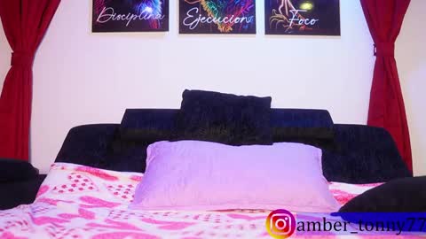     online show from November 2025 10:12:02 AM