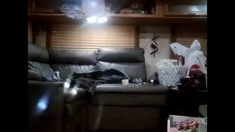 ambionce online show from October 2025 07:31:02 AM