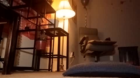 ameliajoshphine online show from October 2025 01:28:01 AM