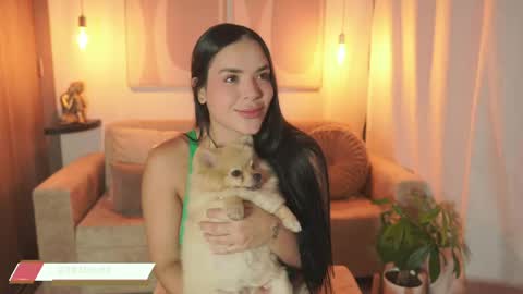    online show from May 2026 10:26:01 PM