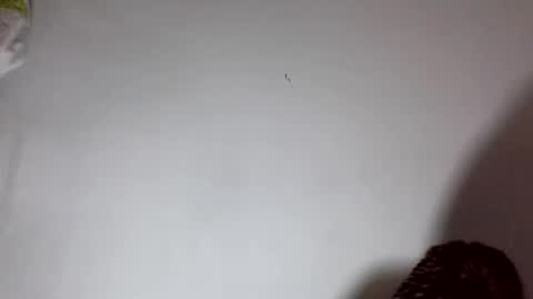 amelisy20005 online show from February 2026 06:46:02 AM