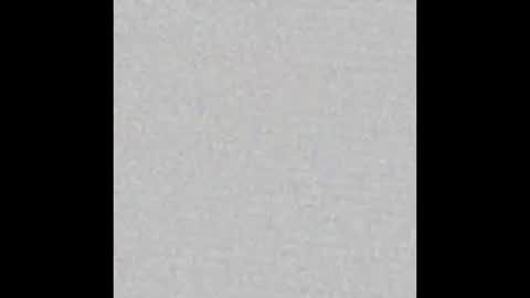 americansteel9791 online show from March 2026 10:43:02 PM