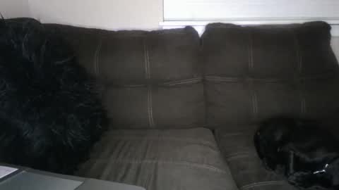 Snapshot of amiri_sweater chatting on March 2025 11:39:02 AM amiri_sweater online show from March 2025 11:39:02 AM