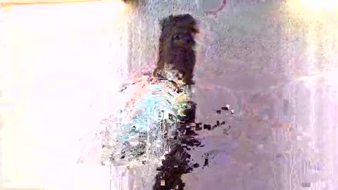 Snapshot of amiri_sweater chatting on November 2025 07:10:01 AM amiri_sweater online show from November 2025 07:10:01 AM