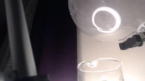 miss unforgettable online show from February 2025 03:50:01 AM