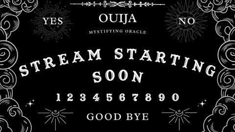 Amy 3 online show from December 2024 07:58:01 AM