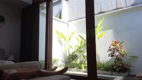 girl next door named Amy online show from March 2025 07:54:01 AM