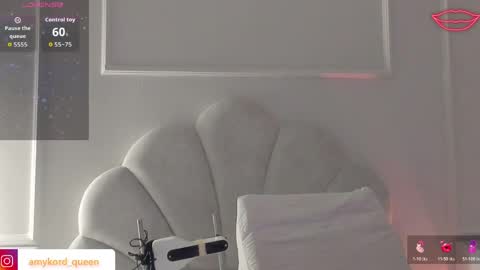 Amykord online show from April 2026 11:37:01 AM