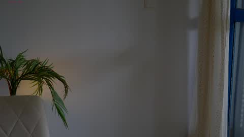 Snapshot of anabelcurvy chatting on May 2026 01:27:01 PM anabelcurvy online show from May 2026 01:27:01 PM
