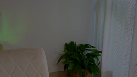 Snapshot of anabelcurvy chatting on May 2026 06:38:02 PM anabelcurvy online show from May 2026 06:38:02 PM