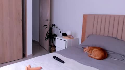 Snapshot of anahenao chatting on September 2025 08:57:01 PM Ana Henao or Annie... Follow me ahenaocb Insta X online show from September 2025 08:57:01 PM