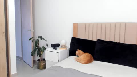 Snapshot of anahenao chatting on October 2025 09:42:02 PM Ana Henao or Annie... Follow me ahenaocb Insta X online show from October 2025 09:42:02 PM