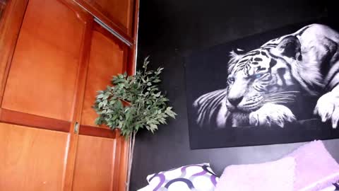 Anahi online show from December 2024 05:42:02 PM