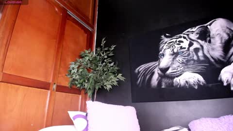 Anahi online show from December 2024 06:33:02 AM