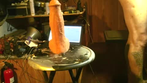 Snapshot of analelasticity chatting on September 2025 01:48:02 PM AnalElasticity online show from September 2025 01:48:02 PM