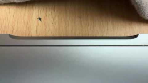 analloverextreme online show from May 2026 08:25:01 PM